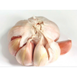 German Red, garlic seeds bulb