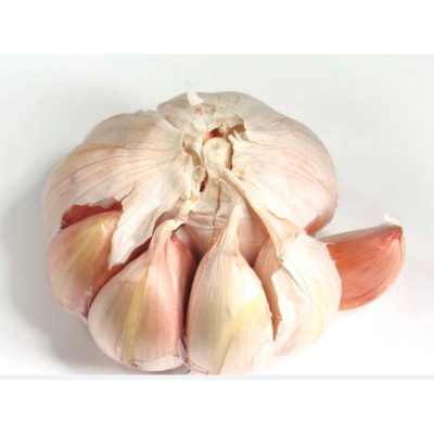 German Red, garlic seeds bulb