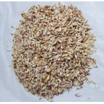 Music Hardneck, garlic seeds