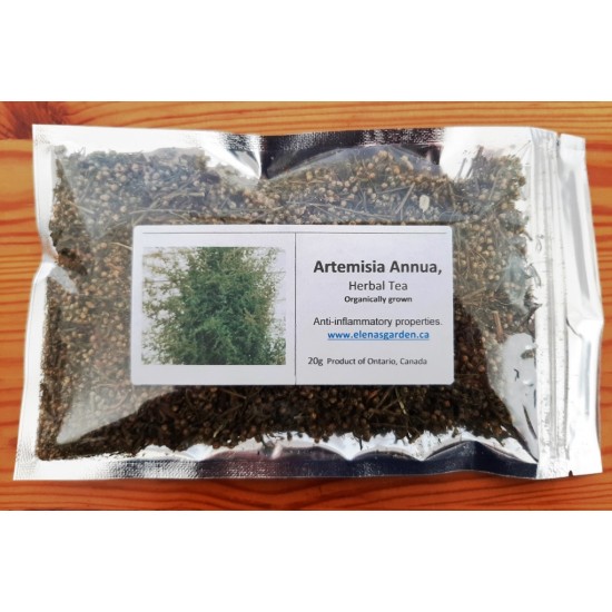 Artemisia Annua (Sweet Annie), Herbal Tea