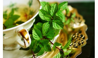 What Are Herbal Teas? A Guide to Tisanes and Infusions What Are Herbal Teas? A Guide to Tisanes and Infusions