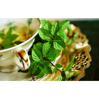 Peppermint, Herbal Tea