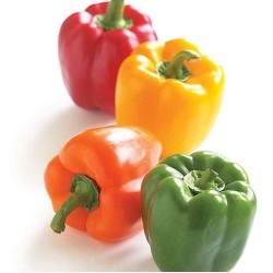 Growing Peppers