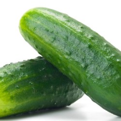 Growing Cucumbers
