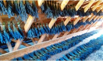 What Are Lavender Products? A Complete Guide to Types and Uses