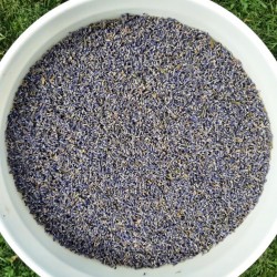 Lavender Dried Buds (Culinary grade)
