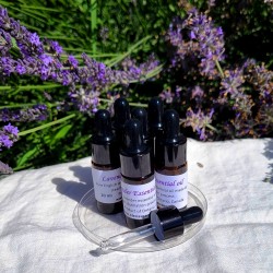 Lavender Essential Oil Lavender Essential Oil