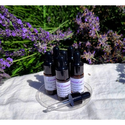 Lavender Essential Oil Lavender Essential Oil