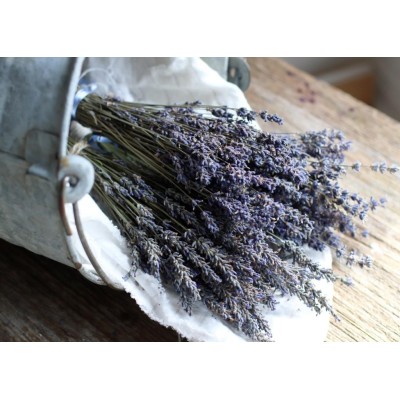 Lavender Bouquet Dry