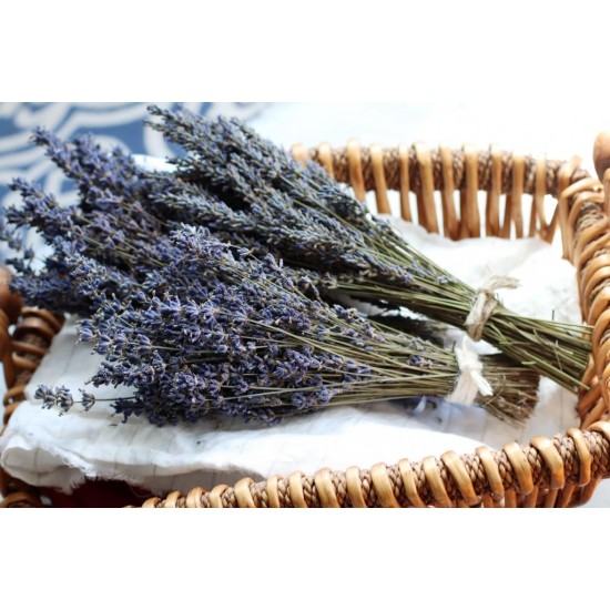 Lavender Bouquet Dry