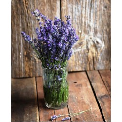 Lavender Bouquet Fresh