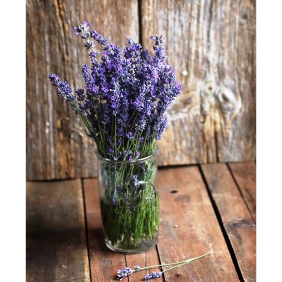 Lavender Bouquet Fresh