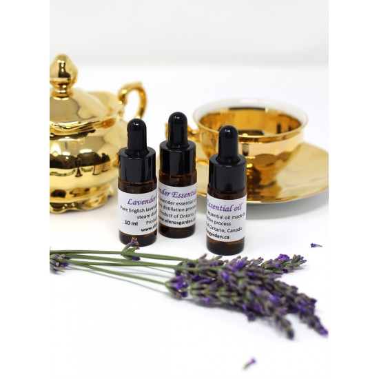 Lavender Essential Oil Lavender Essential Oil