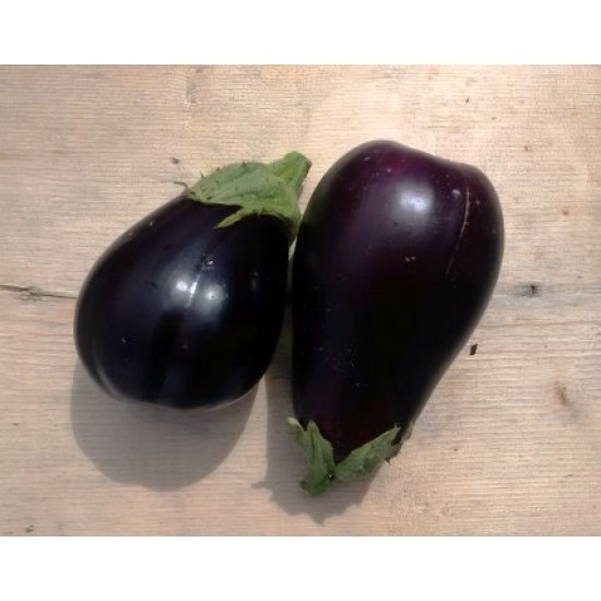 Eggplant Black King, seeds