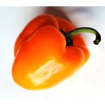 Pepper Sweet, Orange Bell, seeds