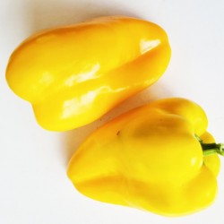 Pepper Sweet, Yataghan , seeds