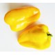 Pepper Sweet, Yataghan , seeds Pepper Sweet, Yataghan , seeds