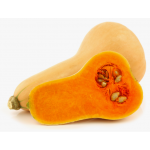 Pumpkin Butternut, Winter Squash seeds