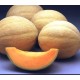Cantaloupe Halona, seeds
