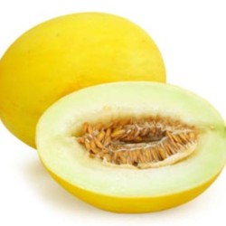 Melon Golden Honeydew, seeds