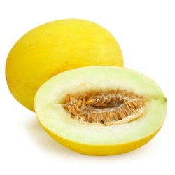 Melon Golden Honeydew, seeds