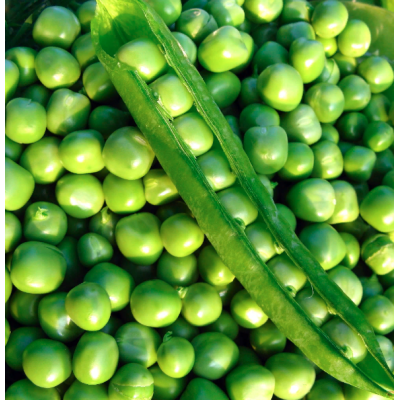 Peas Green Arrow, seeds