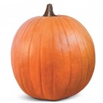 Pumpkin  Jack O'Lantern, seeds