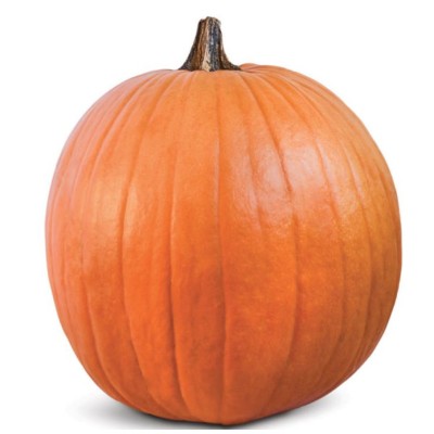 Pumpkin  Jack O'Lantern, seeds