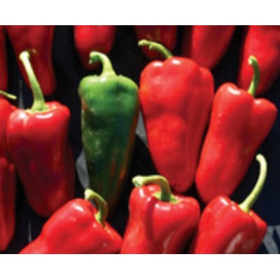 Pepper Sweet Shepherd, seeds