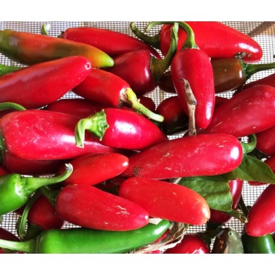 Pepper Hot Sriracha,  seeds