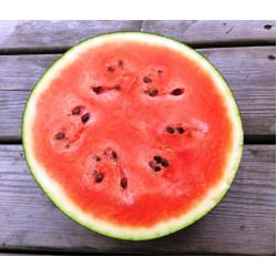Watermelon Sugar Baby, seeds