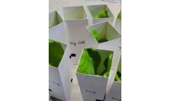 How We Carefully Pack and Ship Our Plants