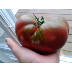 Tomato Cherokee Purple,  Heirloom seeds Tomato Cherokee Purple,  Heirloom seeds