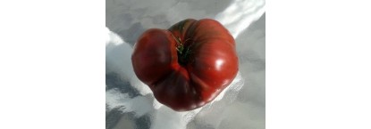 What Is a Nightshade Tomato? Origins, Varieties, and Characteristics