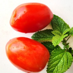 Tomato Roma, seeds