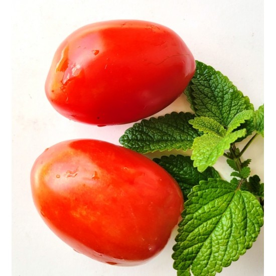 Tomato Roma, seeds