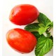 Tomato Roma, seeds