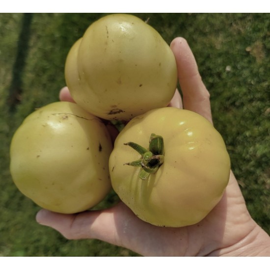 Tomato Vanilla Sundae,  seeds