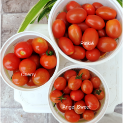 Tomato Grape Angel Sweet, seeds Tomato Grape Angel Sweet, seeds