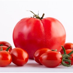 Tomato Red Beefstake,  seeds