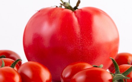 Tomatoes