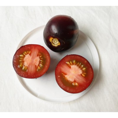Tomato Onyx, seeds