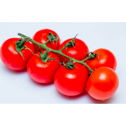 Tomato Plum Delight, seeds